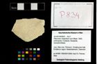 Foto (Objekt + Etikett) von Pithonoton marginatum (von Meyer, 1842)  (NHMW-GEO-2014-0194-0834)